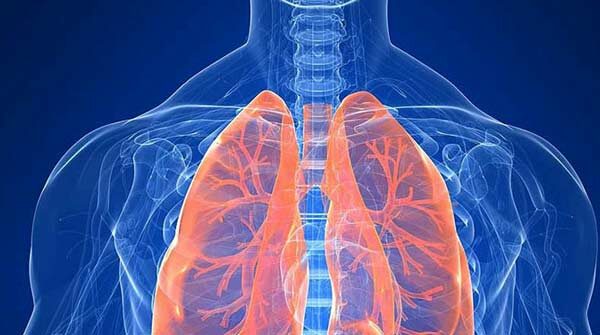 pneumologia, malattie apparato respiratorio