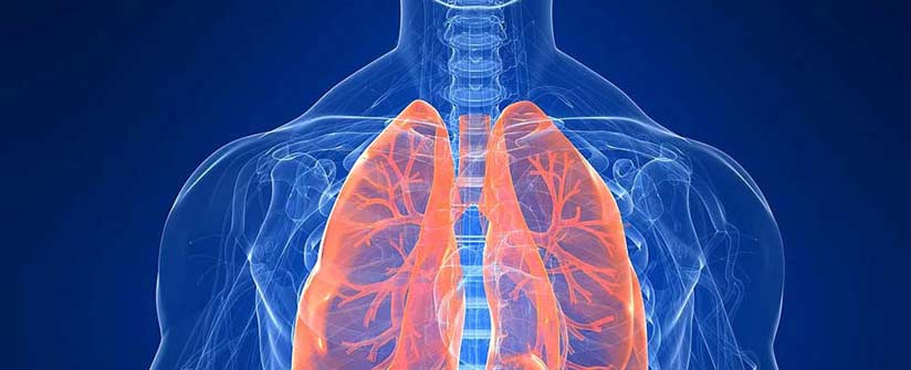 pneumologia, malattie apparato respiratorio