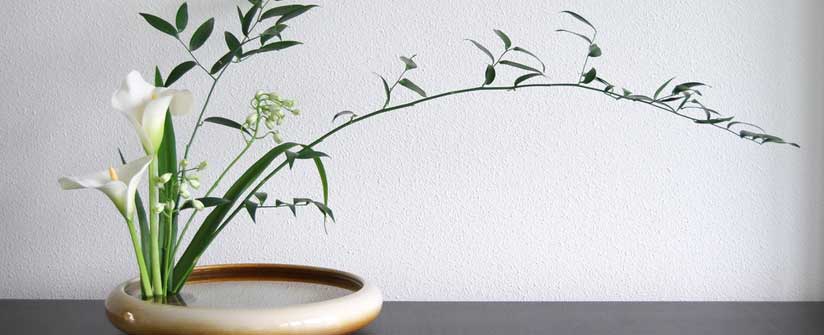 Ikebana giapponese, tra arte e disciplina